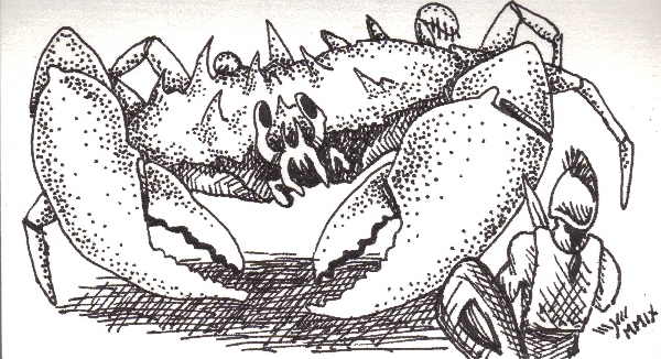 Killer Crab Attack!